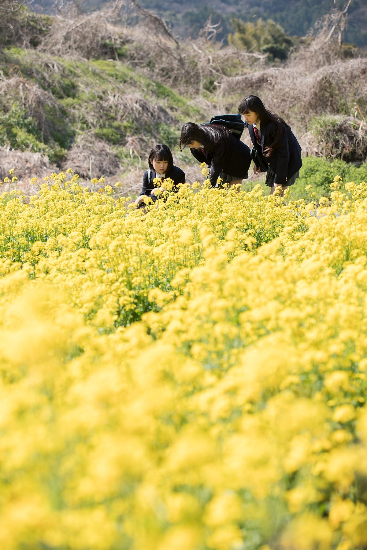 [Minisuka.tv] 新手美女 2017-04-13 NewComer 2017 - Special Gallery 01